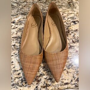 Sam Edelman Wanda Pointed Toe Flat in Beechwood